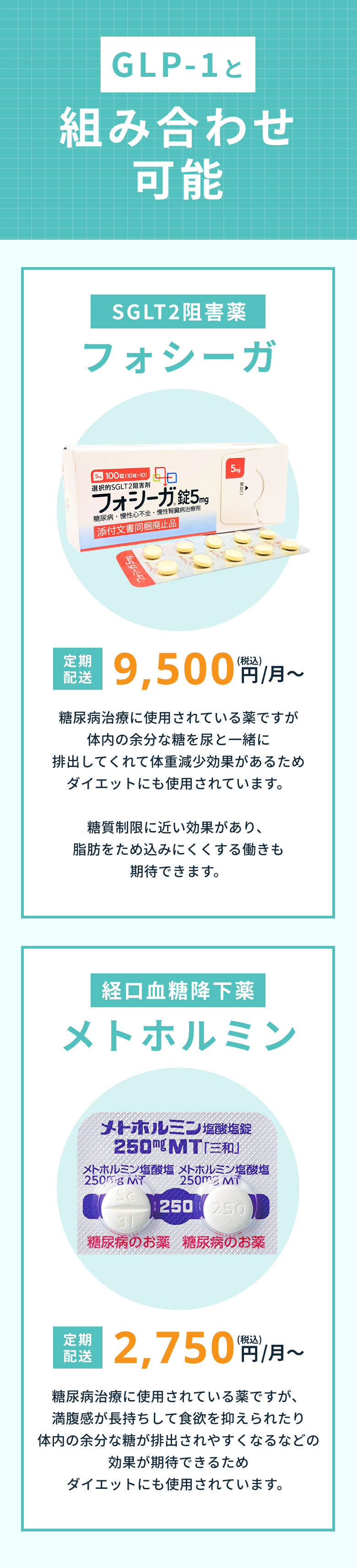 セクション10