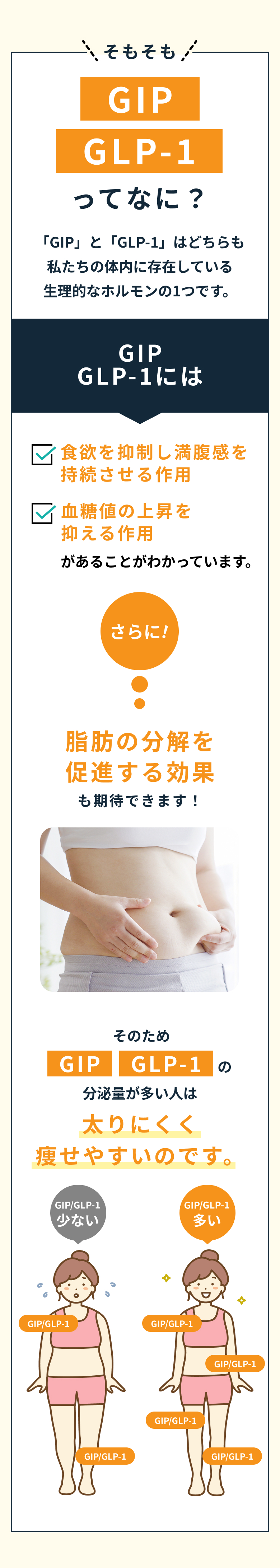 セクション2