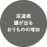 尿道痛、膿が出る、おりものの増加
