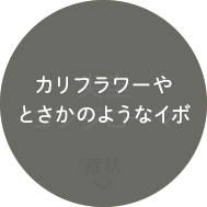 カリフラワーのようなイボなど