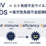 HIV＝ヒト免疫不全ウイルス　AIDS＝後天性免疫不全症候群