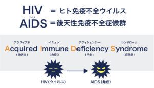 HIV＝ヒト免疫不全ウイルス　AIDS＝後天性免疫不全症候群
