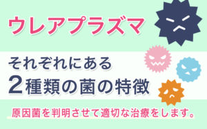 ウレアプラズマ